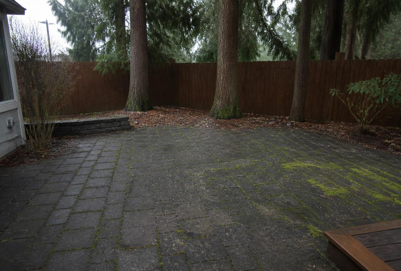 Backyard paver patio blackened with moss and algae in Vancouver, Washington before pressure washing