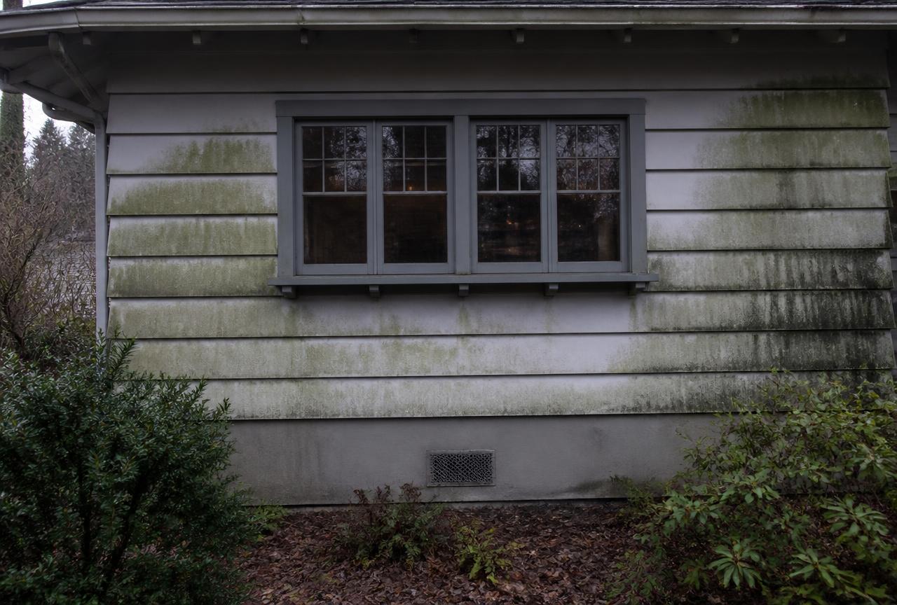 Green algae and mildew streaks on gray lap siding of a Vancouver WA craftsman home before soft washing